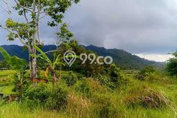 Kavling Tanah Dijual di Sidemen Karangasem Spesifikasi 300m2 Kavling Tanah Dijual di Sidemen Karangasem Spesifikasi 300m2