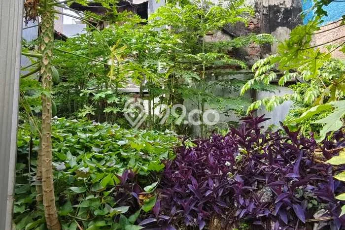 Dijual Tanah Lokasi Jembatan Lima, Jakarta Barat Seluas 77m2 Dijual Tanah Lokasi Jembatan Lima, Jakarta Barat Seluas 77m2