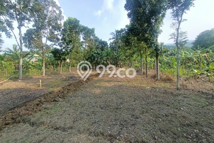 Untuk Dijual Tanah di Bogor, Luas 5502m2 SHM Untuk Dijual Tanah di Bogor, Luas 5502m2 SHM