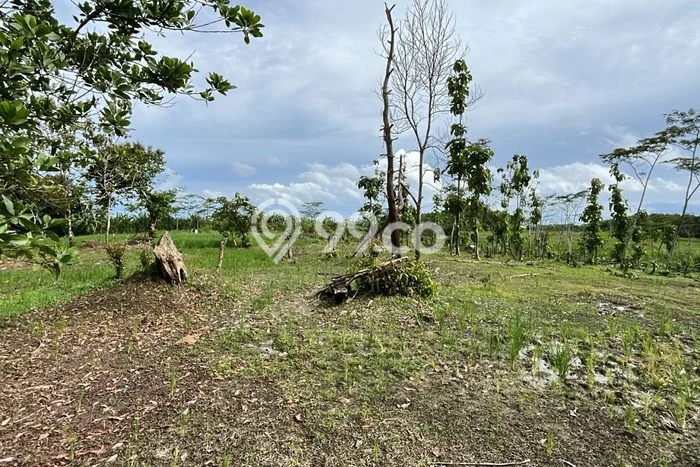 Tanah Kavling di Pandeglang Dijual dengan Luas 95867m2 Tanah Kavling di Pandeglang Dijual dengan Luas 95867m2