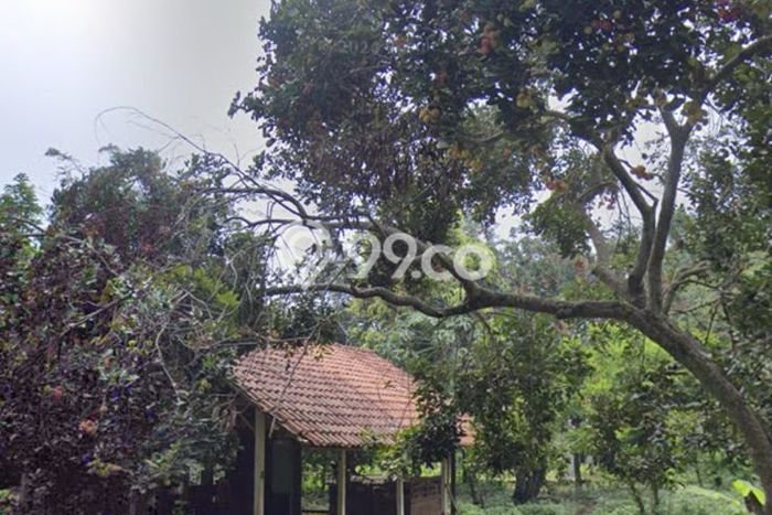 Kavling Tanah Dijual di Jatisampurna, Bekasi, Luas 1830m2 Area Strategis Kavling Tanah Dijual di Jatisampurna, Bekasi, Luas 1830m2 Area Strategis