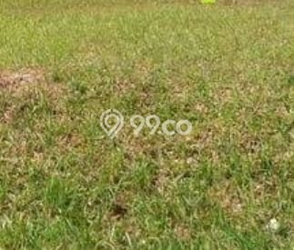 Tanah Dijual Lokasi Jatisampurna, Bekasi dengan Luas Tanah 223m2 dan Status - Tanah Dijual Lokasi Jatisampurna, Bekasi dengan Luas Tanah 223m2 dan Status -