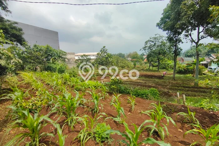 Kavling Tanah di Batujajar Dijual Luas 3927m2 Legalitas SHM Kavling Tanah di Batujajar Dijual Luas 3927m2 Legalitas SHM