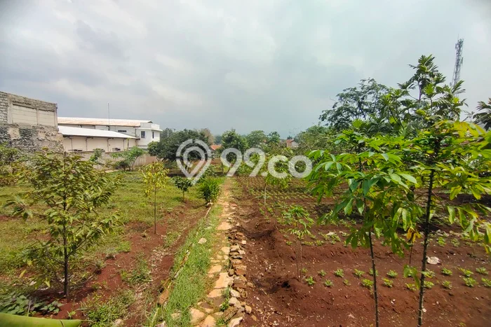 Kavling Tanah di Batujajar Dijual Luas 3927m2 Legalitas SHM Kavling Tanah di Batujajar Dijual Luas 3927m2 Legalitas SHM