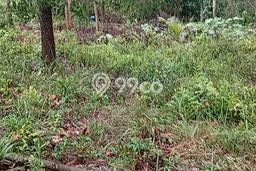 Tanah Dijual Area Strategis di Tanjung Pinang Barat Tanjung Pinang 5000m2 Tanah Dijual Area Strategis di Tanjung Pinang Barat Tanjung Pinang 5000m2