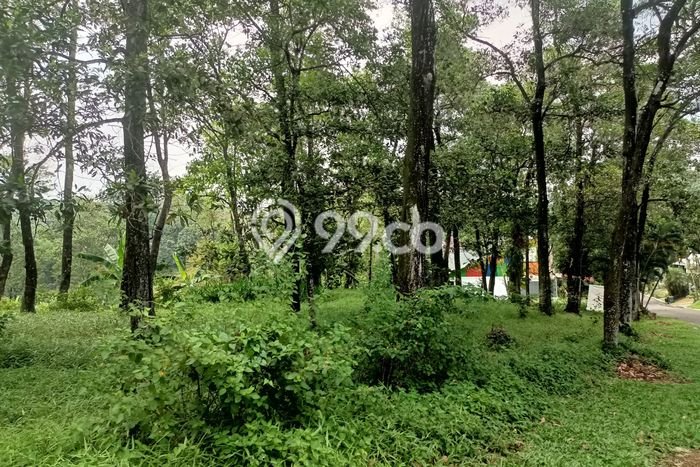 Kavling Tanah untuk Dijual di Sentul City, Bogor, Luas 507m2 Kavling Tanah untuk Dijual di Sentul City, Bogor, Luas 507m2