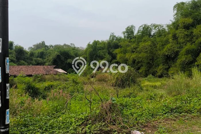 Sangat Dicari! Lahan Kosong Disewakan di Bangsal, Mojokerto Sangat Dicari! Lahan Kosong Disewakan di Bangsal, Mojokerto