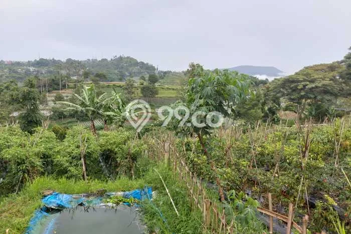 Lahan Kosong Dijual di Bandung Barat dengan Area 3200m2 Lahan Kosong Dijual di Bandung Barat dengan Area 3200m2