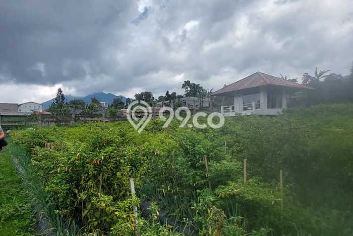 Untuk Disewa Tanah di Lembang Bandung Seluas 3100m2 Untuk Disewa Tanah di Lembang Bandung Seluas 3100m2