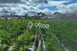 Untuk Dijual Tanah di Bandung, Luas 5980m2 SHM Untuk Dijual Tanah di Bandung, Luas 5980m2 SHM