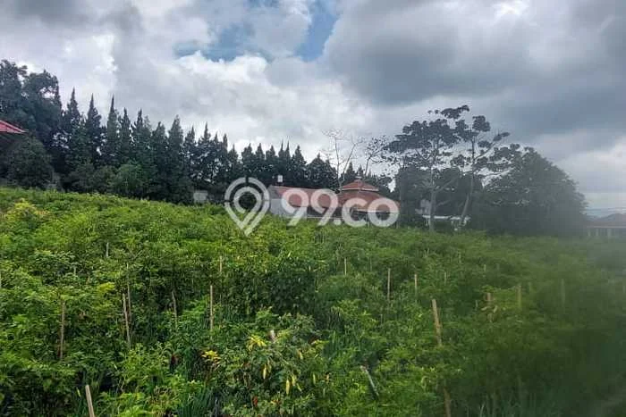 Untuk Disewa Tanah di Lembang Bandung Seluas 3100m2 Untuk Disewa Tanah di Lembang Bandung Seluas 3100m2