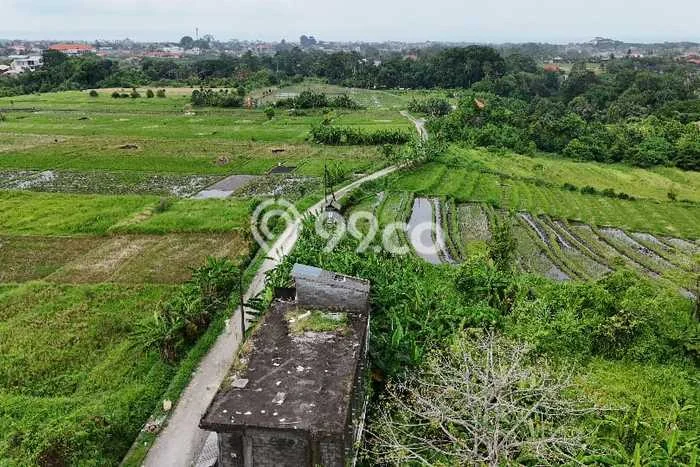 Tanah Dijual Lokasi Strategis di Tabanan dengan Luas 3800m2 Tanah Dijual Lokasi Strategis di Tabanan dengan Luas 3800m2