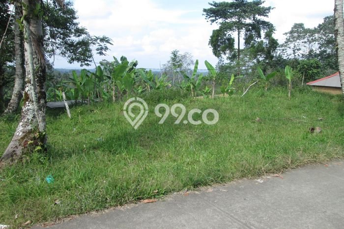 Tanah Siap Bangun Dijual di Gianyar Punya Luas 1880m2 Tanah Siap Bangun Dijual di Gianyar Punya Luas 1880m2
