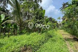 Tanah di Payangan, Gianyar Luas 3257m2 Dijual Segera Tanah di Payangan, Gianyar Luas 3257m2 Dijual Segera