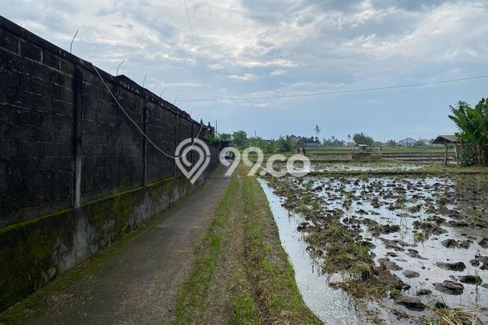 Tanah di , Luas 100m2m², Status SHM, Akses Gianyar, Gianyar Tanah di , Luas 100m2m², Status SHM, Akses Gianyar, Gianyar
