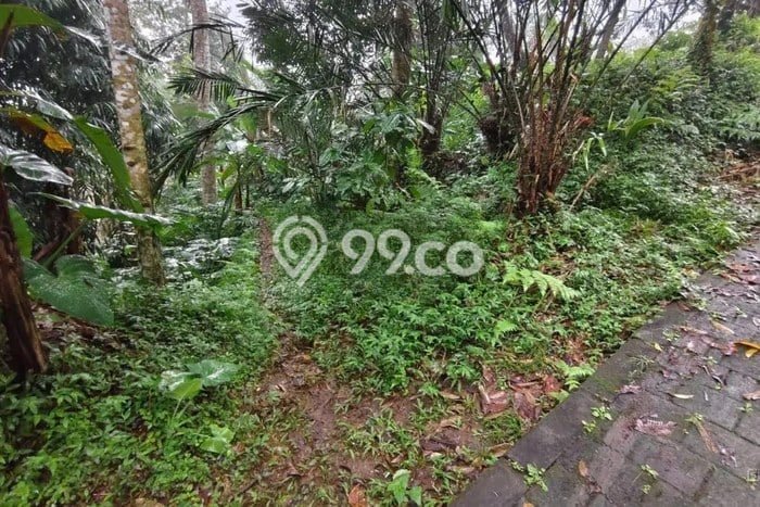 Tanah Komersial Dijual di Petang Badung 9950m2 Tanah Komersial Dijual di Petang Badung 9950m2