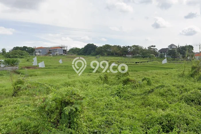 Untuk Disewa Tanah di Canggu Badung Seluas 3600m2 Untuk Disewa Tanah di Canggu Badung Seluas 3600m2