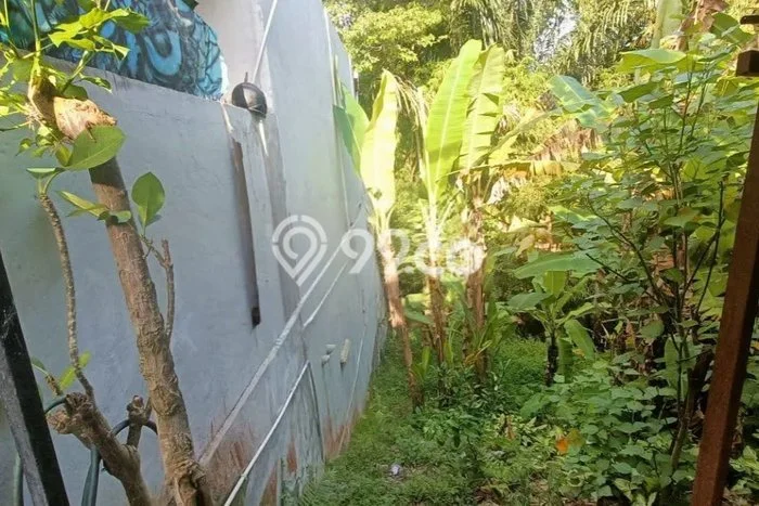 Rumah Nyaman 3 KT LB 150m2 Kondisi Bagus di Ubung Kaja Rumah Nyaman 3 KT LB 150m2 Kondisi Bagus di Ubung Kaja