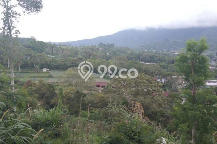 Dijual Tanah 1800m2 di Bedugul, Tabanan Dijual Tanah 1800m2 di Bedugul, Tabanan