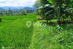 Tanah Kavling untuk Dijual di Buleleng Buleleng 10290m2 Tanah Kavling untuk Dijual di Buleleng Buleleng 10290m2