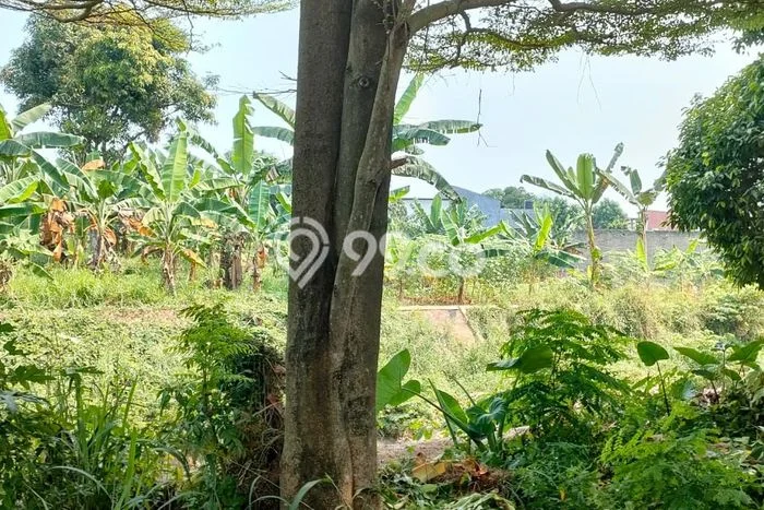 Tanah Kavling Dijual di BSD Griya Loka, Tangerang dengan Luas Tanah 684m2 Tanah Kavling Dijual di BSD Griya Loka, Tangerang dengan Luas Tanah 684m2