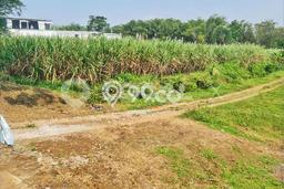 Tanah Komersial Dijual di Singosari Malang 11980m2 Tanah Komersial Dijual di Singosari Malang 11980m2