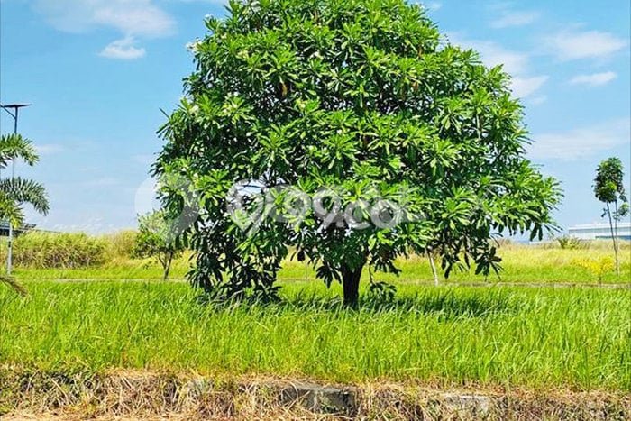 Tanah Kavling Dijual di Telukjambe, Karawang dengan Luas Tanah 35000m2 Tanah Kavling Dijual di Telukjambe, Karawang dengan Luas Tanah 35000m2