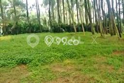 Tanah di Sukaraja, Bogor Luas 10000m2 Dijual Segera Tanah di Sukaraja, Bogor Luas 10000m2 Dijual Segera