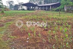 Tanah di Mijen, Semarang Luas 30418m2 Dijual Segera Tanah di Mijen, Semarang Luas 30418m2 Dijual Segera