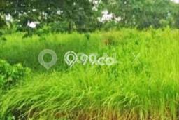 Tanah Dijual Area Strategis di Cikarang Bekasi 120m2 Tanah Dijual Area Strategis di Cikarang Bekasi 120m2