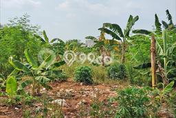 Tanah Kavling Dijual di Pasar Kemis, Tangerang dengan Luas Tanah 6684m2 Tanah Kavling Dijual di Pasar Kemis, Tangerang dengan Luas Tanah 6684m2