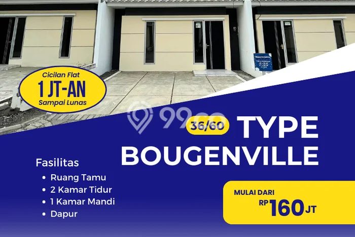 Jual Rumah Murah Meriah Winongan Punya 2 Kamar & LT 60m2 Jual Rumah Murah Meriah Winongan Punya 2 Kamar & LT 60m2