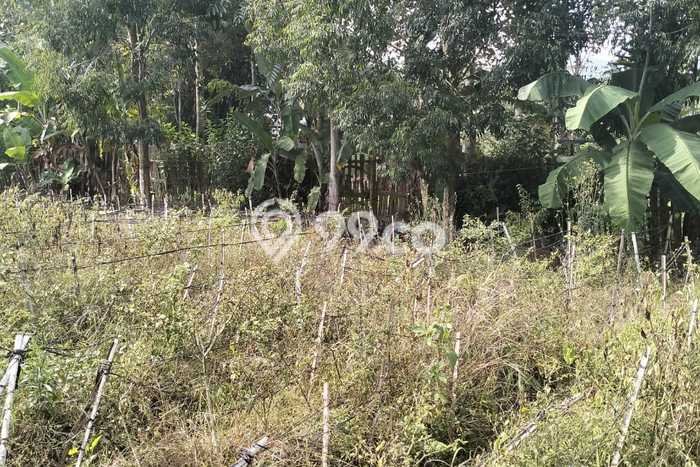 Kavling Tanah Dijual di Ciwidey Bandung Spesifikasi 10500m2 Kavling Tanah Dijual di Ciwidey Bandung Spesifikasi 10500m2