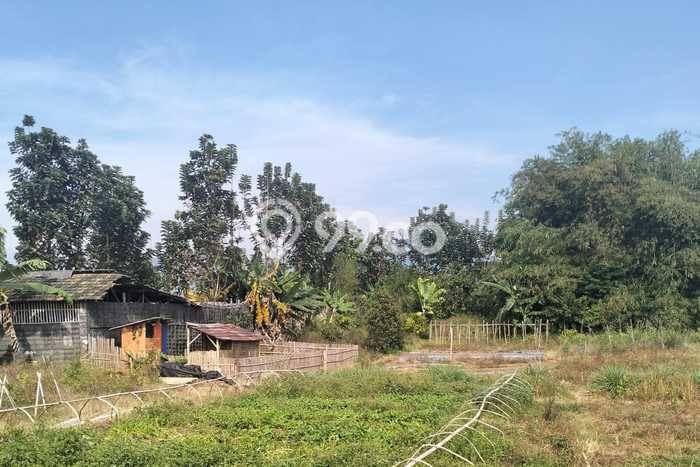 Kavling Tanah Dijual di Ciwidey Bandung Spesifikasi 10500m2 Kavling Tanah Dijual di Ciwidey Bandung Spesifikasi 10500m2