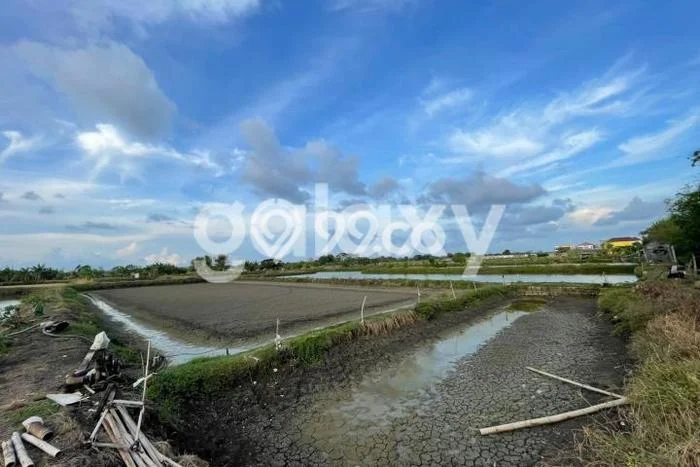 Lahan untuk Dijual di Manyar Gresik Luas 8565m2 Lahan untuk Dijual di Manyar Gresik Luas 8565m2