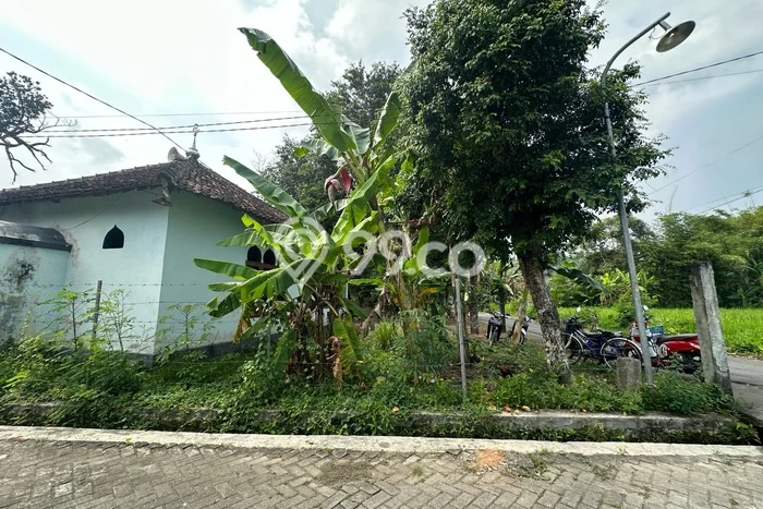 Jual Rumah Modern 2 KT di Sleman, Yogyakarta Jual Rumah Modern 2 KT di Sleman, Yogyakarta