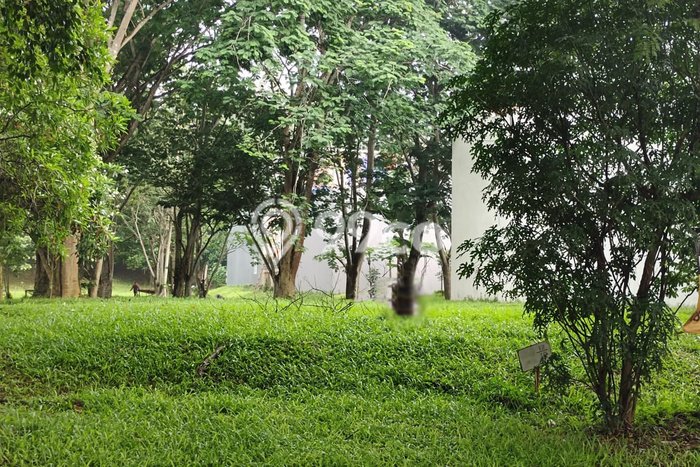 Tanah di BSD, Tangerang Selatan Luas 475m2 Dijual Segera Tanah di BSD, Tangerang Selatan Luas 475m2 Dijual Segera