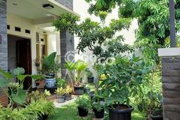 For Sale! Luxury House LT 315m2 Desain Elegan di Bintaro For Sale! Luxury House LT 315m2 Desain Elegan di Bintaro