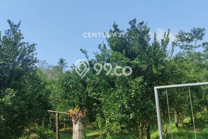 Lahan untuk Dijual di Pagaden Subang Luas 8292m2 Lahan untuk Dijual di Pagaden Subang Luas 8292m2