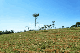 Dijual Tanah di Arjasari Bandung Luas 9800m2 - Dijual Tanah di Arjasari Bandung Luas 9800m2 -