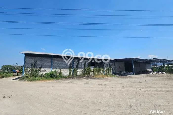 Gudang untuk disewa di Beji punya LT 1200m2 & LB 1200m2 harga sewa kompetitif Gudang untuk disewa di Beji punya LT 1200m2 & LB 1200m2 harga sewa kompetitif