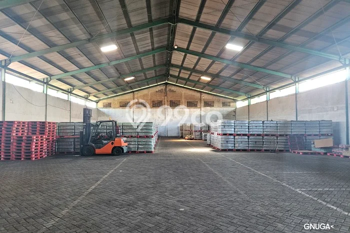 Unit Gudang Disewa Lokasi Beji, Pasuruan Spesifikasi Luas Bangunan 1375m2 Unit Gudang Disewa Lokasi Beji, Pasuruan Spesifikasi Luas Bangunan 1375m2