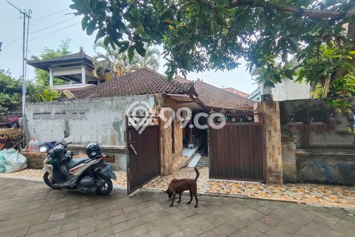 Jarang Ada! Tanah Kavling Disewakan di Badung 200m2 Jarang Ada! Tanah Kavling Disewakan di Badung 200m2
