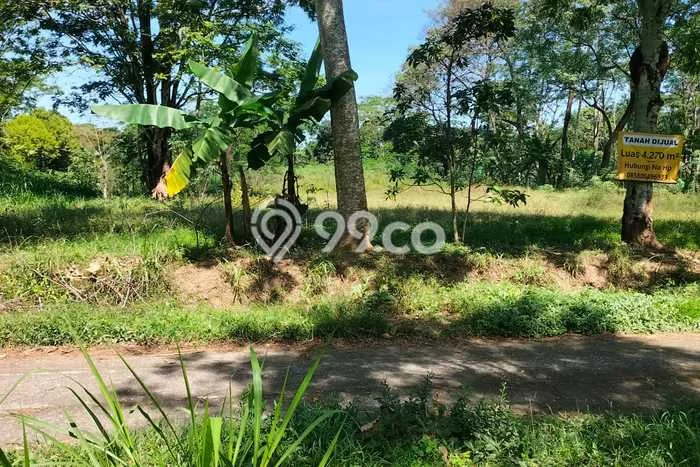 Tanah Dijual Lokasi Mojosongo, Boyolali Luas 4270m2 Legalitas Aman Tanah Dijual Lokasi Mojosongo, Boyolali Luas 4270m2 Legalitas Aman