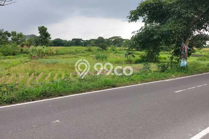Tanah di Polanharjo, Klaten Luas 2160m2 Dijual Segera Tanah di Polanharjo, Klaten Luas 2160m2 Dijual Segera