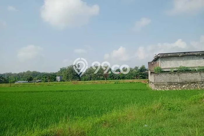 Lahan Strategis di Selogiri Dijual dengan Luas 4235m2 Lahan Strategis di Selogiri Dijual dengan Luas 4235m2