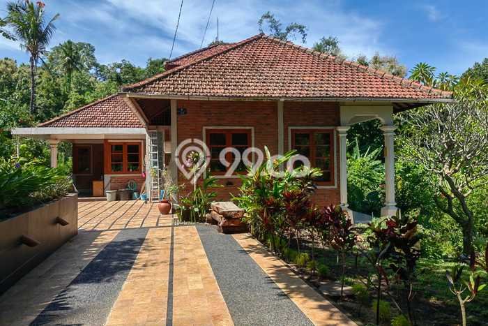 Hunian Mewah LB 155m2 Siap Huni Desain Elegan di Lovina, Buleleng Hunian Mewah LB 155m2 Siap Huni Desain Elegan di Lovina, Buleleng