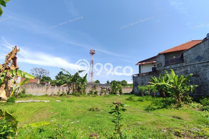 Tanah Dijual di Buleleng Seluas 600m2 Strategis Tanah Dijual di Buleleng Seluas 600m2 Strategis