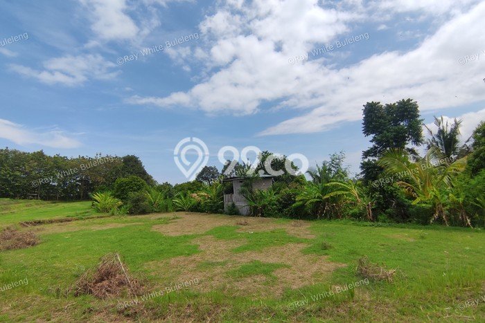 Untuk Dijual Tanah di Buleleng, Luas 940m2 SHM Untuk Dijual Tanah di Buleleng, Luas 940m2 SHM