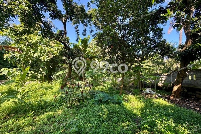 Tanah Kavling Dijual di Lovina, Buleleng dengan Luas Tanah 770m2 Tanah Kavling Dijual di Lovina, Buleleng dengan Luas Tanah 770m2